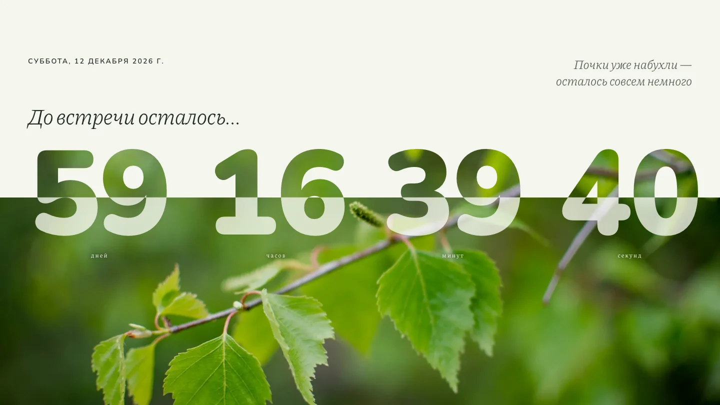 Отсчёт до свадьбы