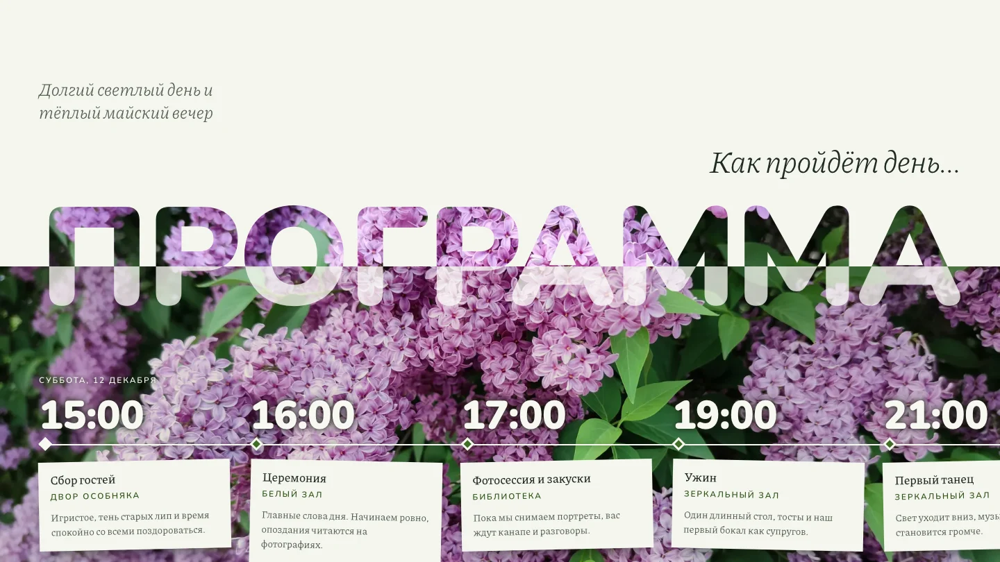 Программа дня